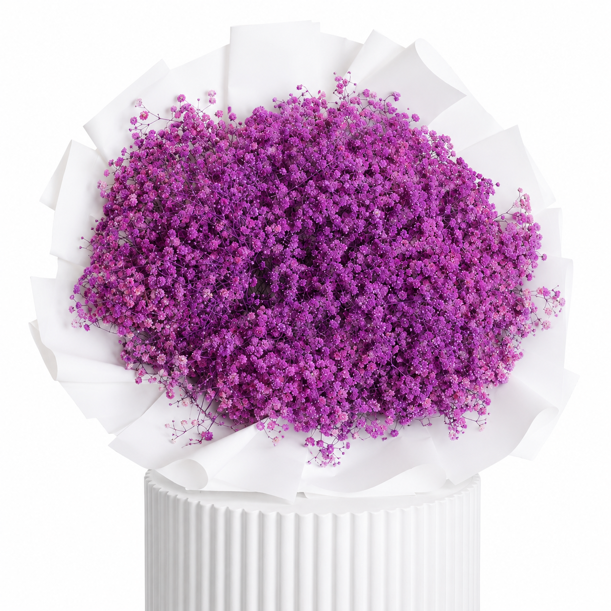 Purple Baby Breath