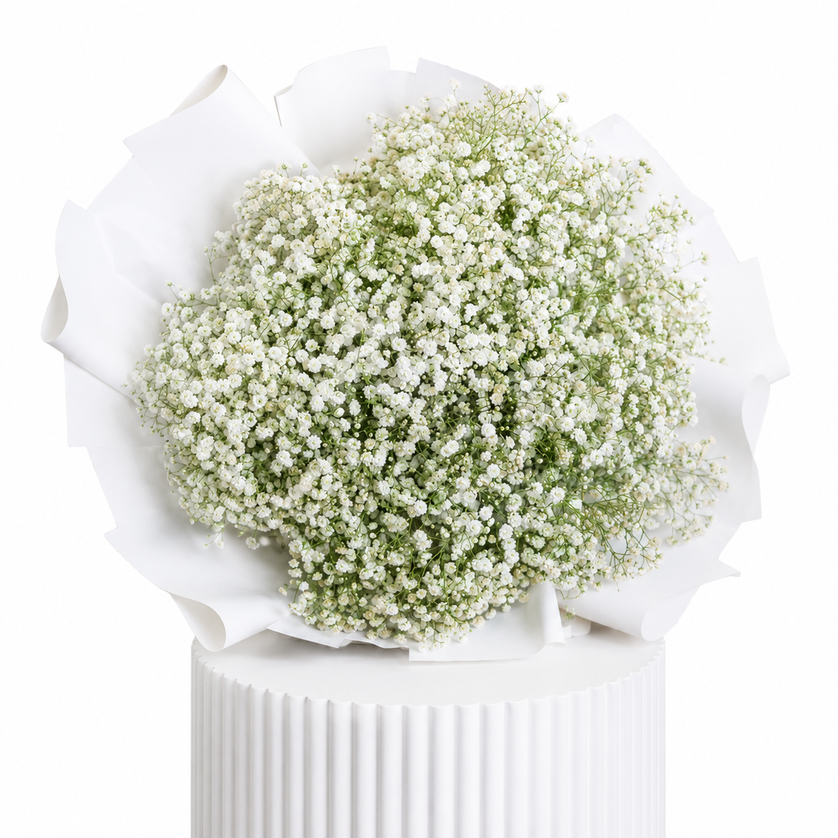 White Baby Breath