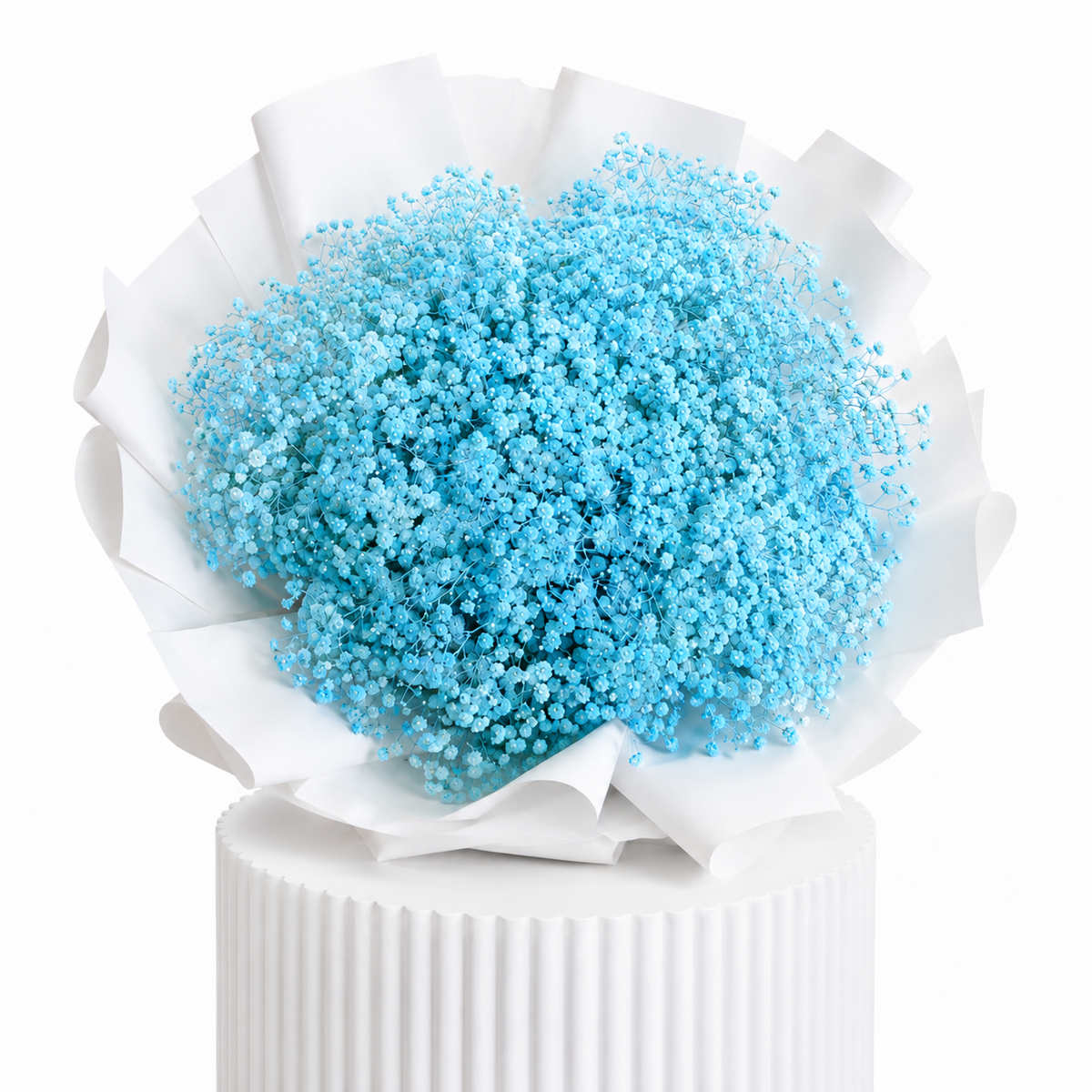 Blue Baby Breath