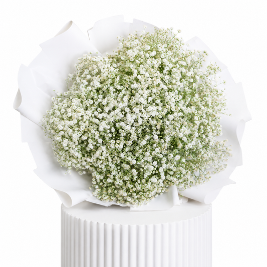 White Baby Breath