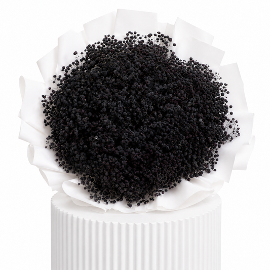 Black Baby Breath