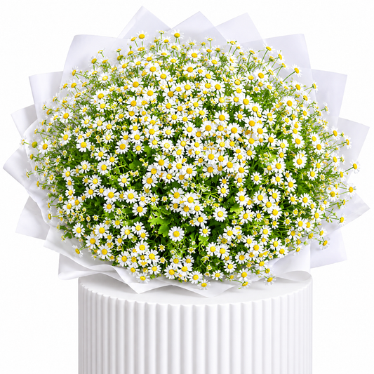 Daisy Bouquet