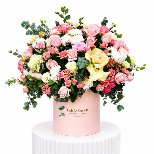 Blush Box