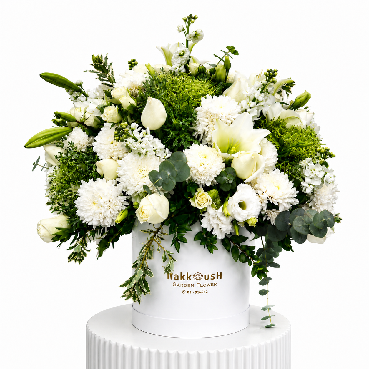 White Box