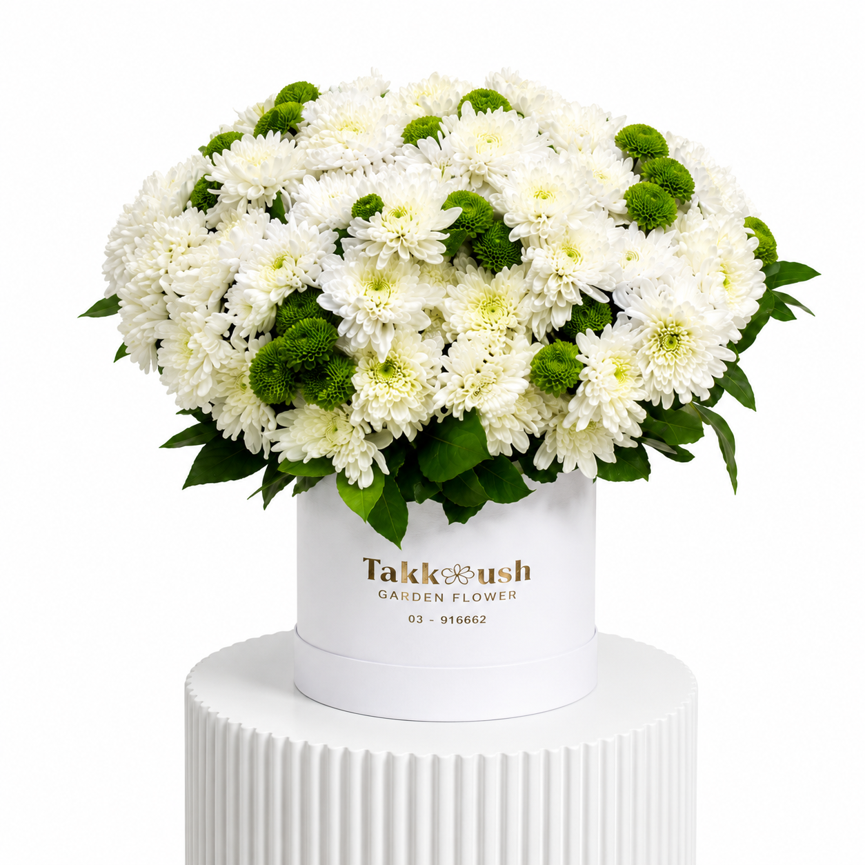 Chrysanthemum Mix Box
