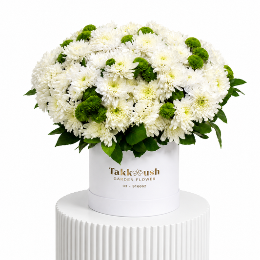 Chrysanthemum Mix Box