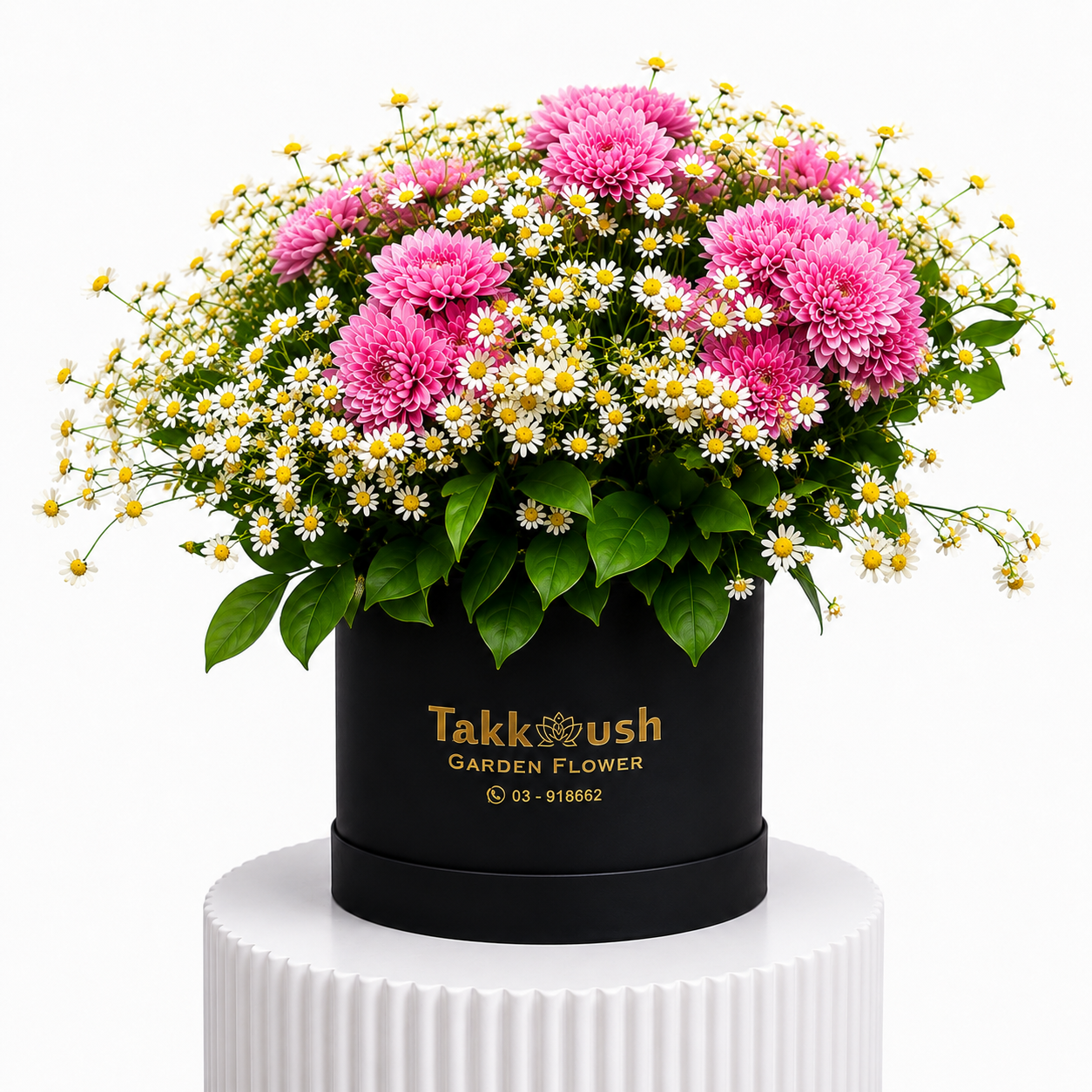 Chrysanthemum Mix Box