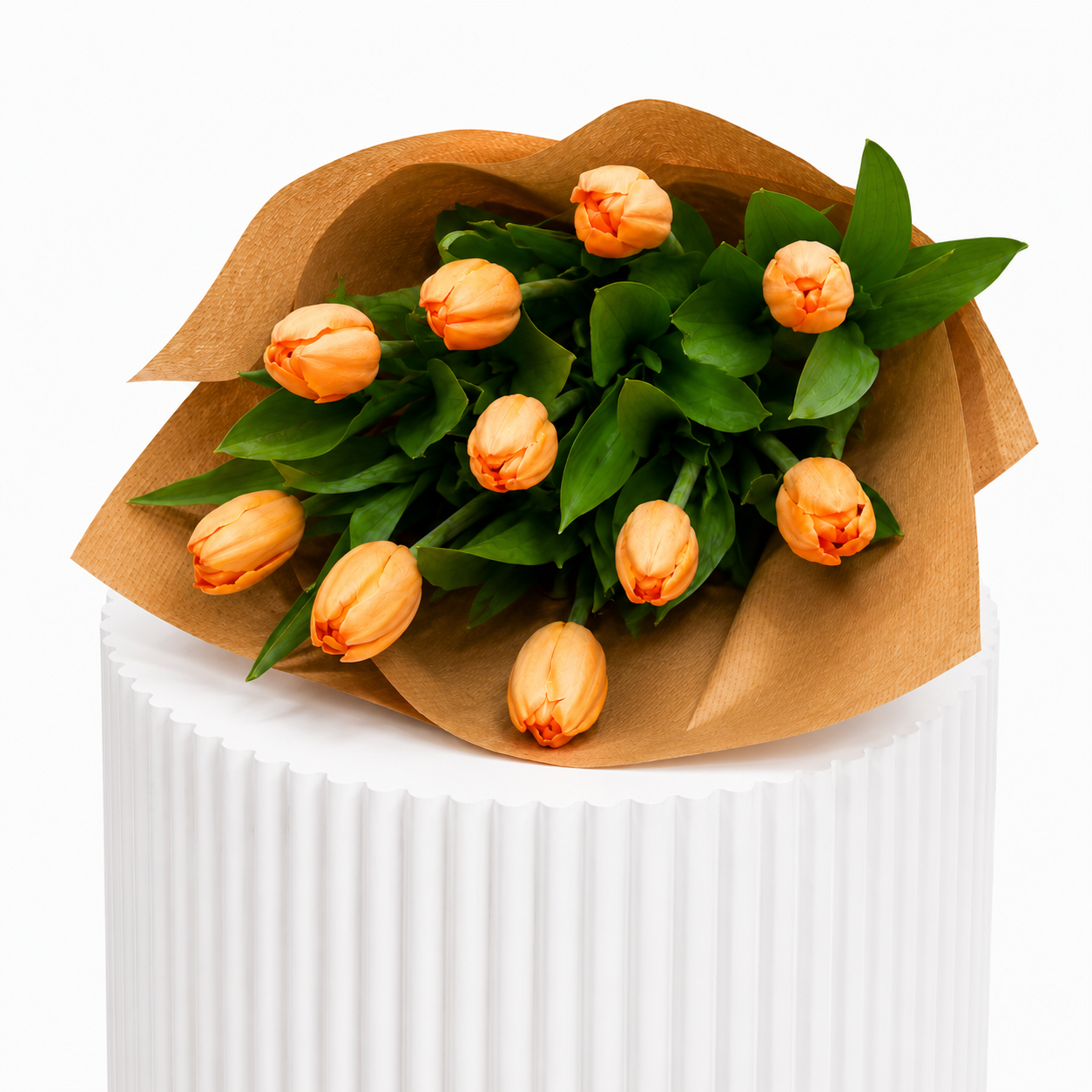 Classic Tulips
