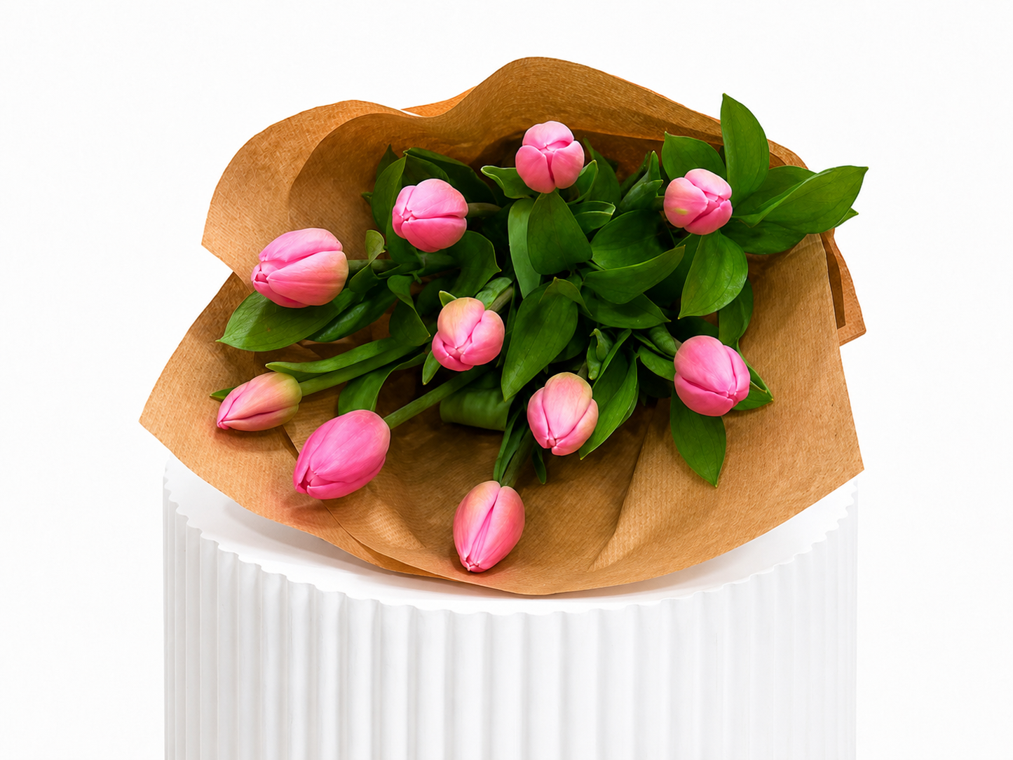 Classic Tulips