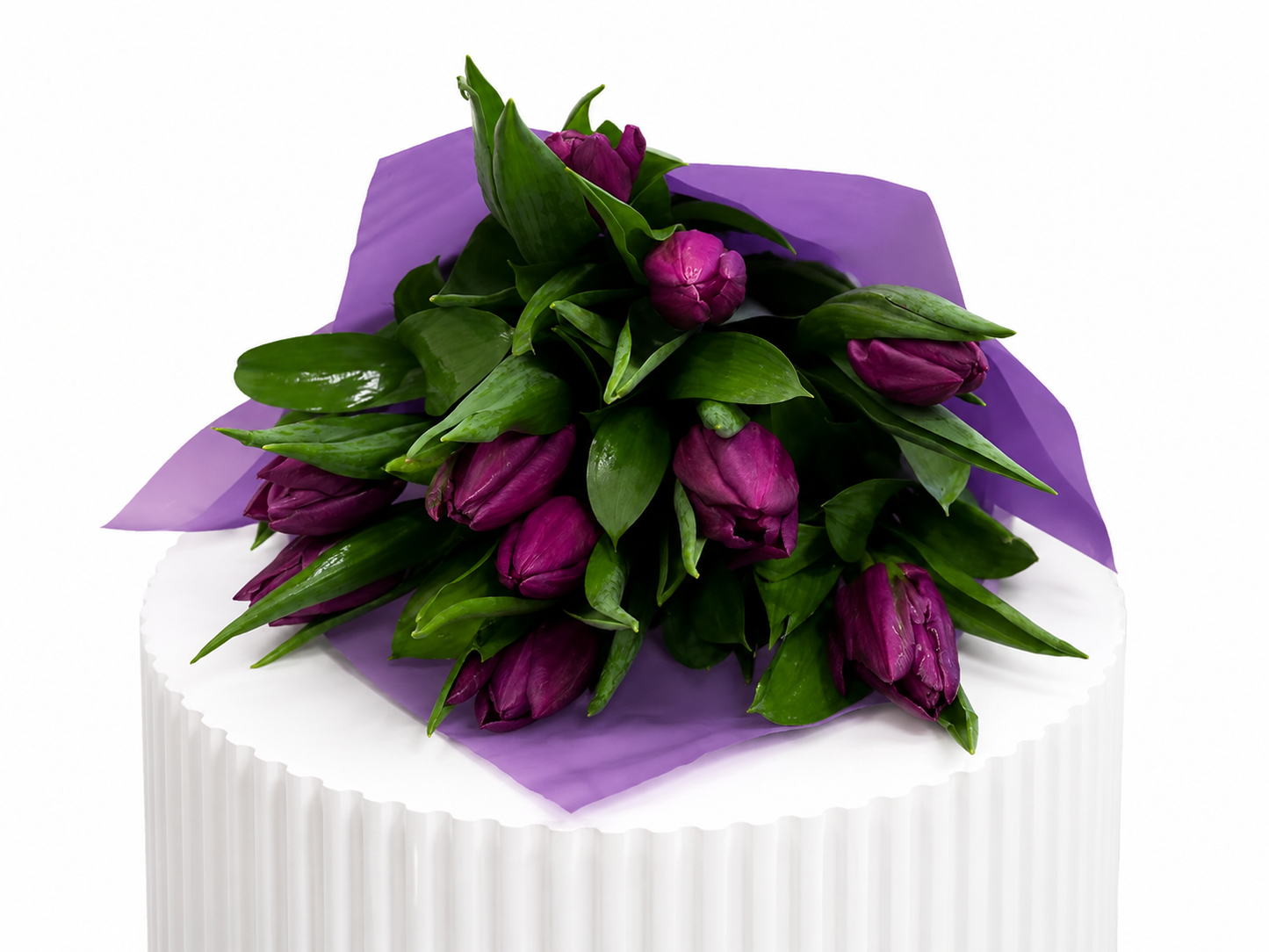 Classic Tulips
