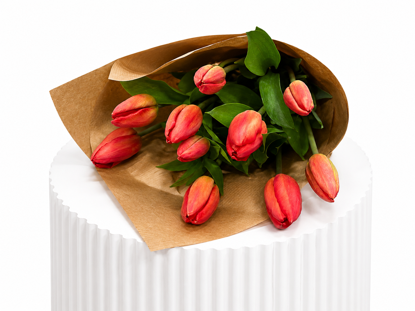 Classic Tulips