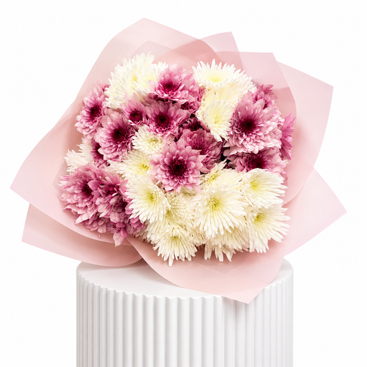 Sweetheart Chrysanthemum