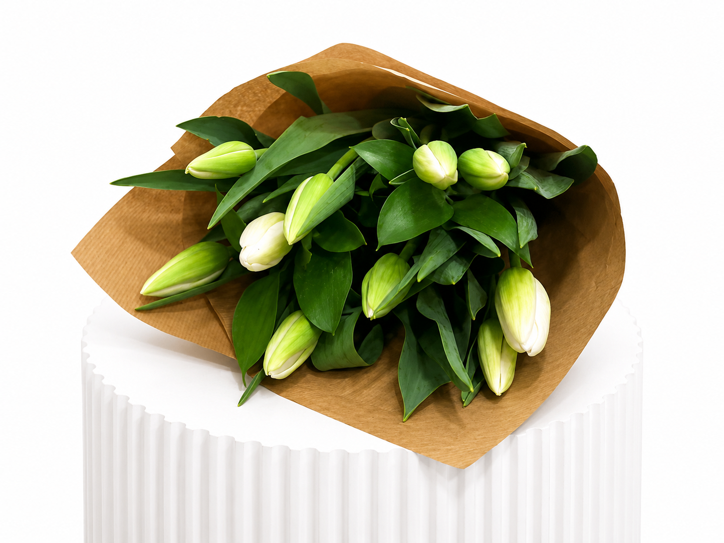Classic Tulips