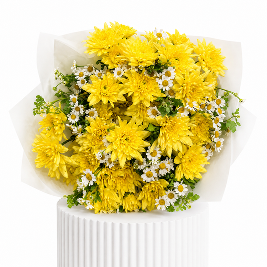 Sun & Daisies Chrysanthemum