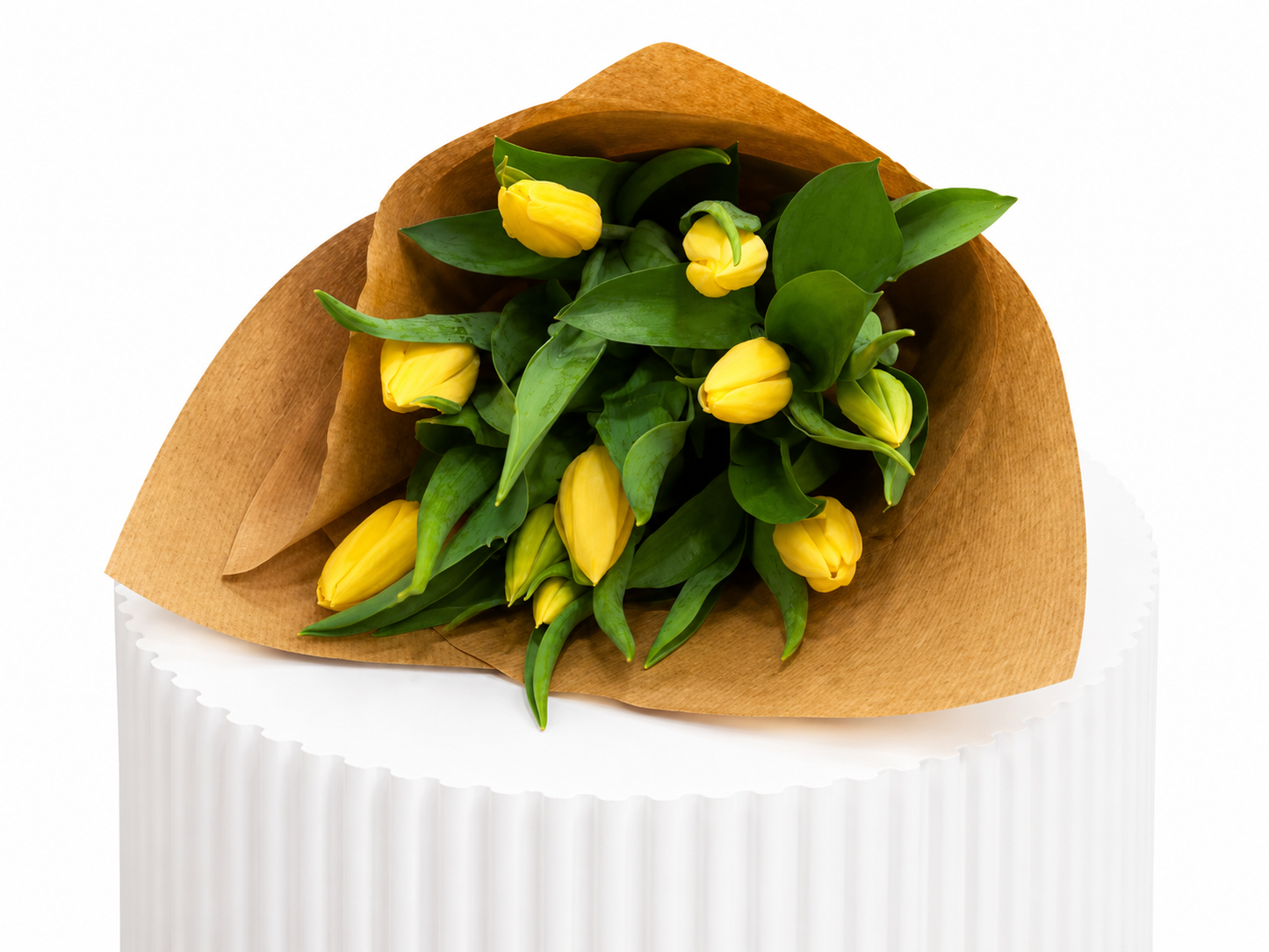Classic Tulips